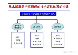 熱水解厭氧污泥新型調(diào)理技術(shù)的開(kāi)發(fā)與工程應(yīng)用